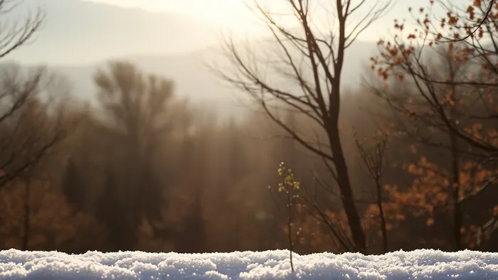 Символическое изображение конфликта трёх сторон (свекровь, муж, жена) через переплетающиеся тени и карты Таро: Императрица, Колесница, Рыцарь Пентаклей.